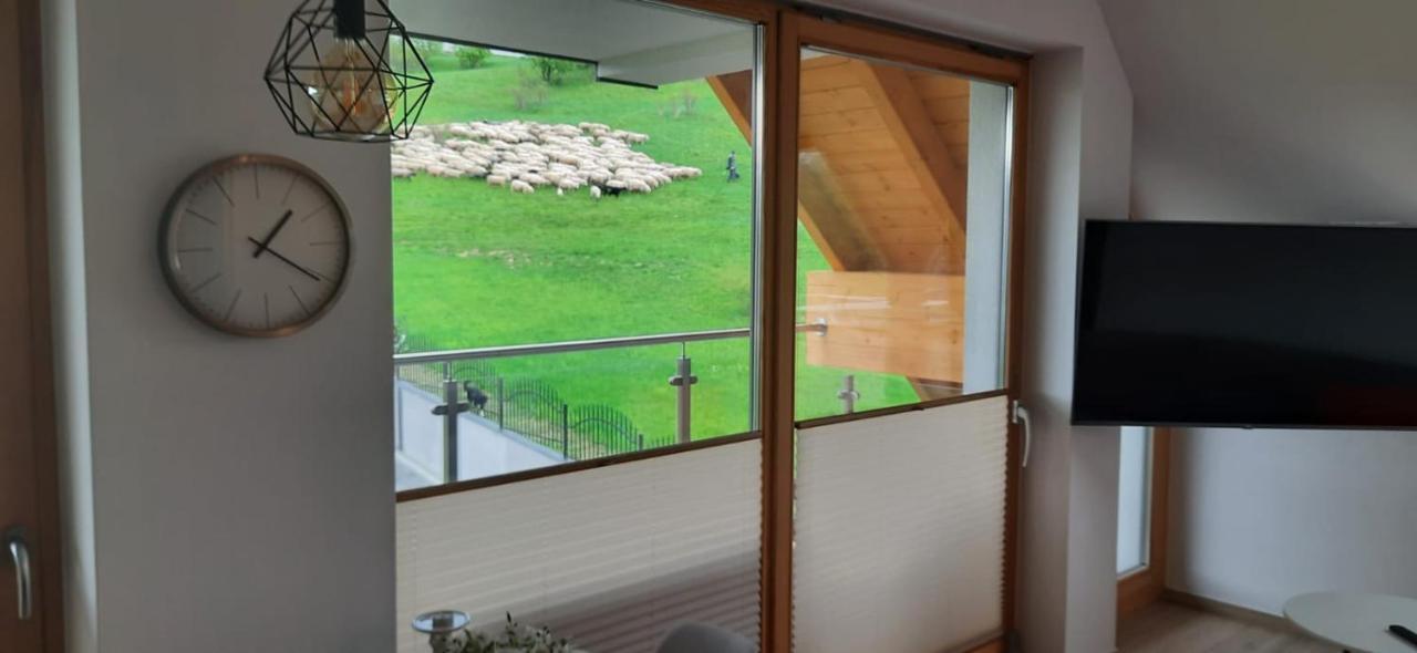 Apartamenty Bachledzki Wierch Zakopane Exterior foto